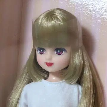 리카짱 캐슬 2023년 니혼바시 BASIC 모델 팔레트 F V2 새상품