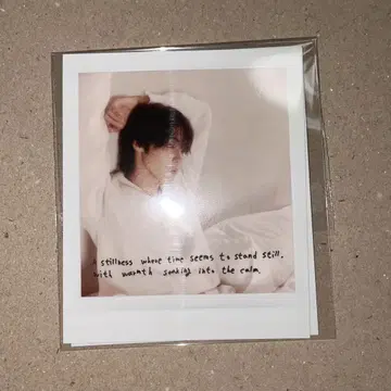 성엽 n.flying LAYERS of SCENT 폴라로이드풍 카드