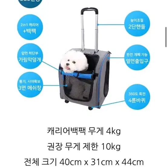 이비야야 반려동물 캐리어 여행가방