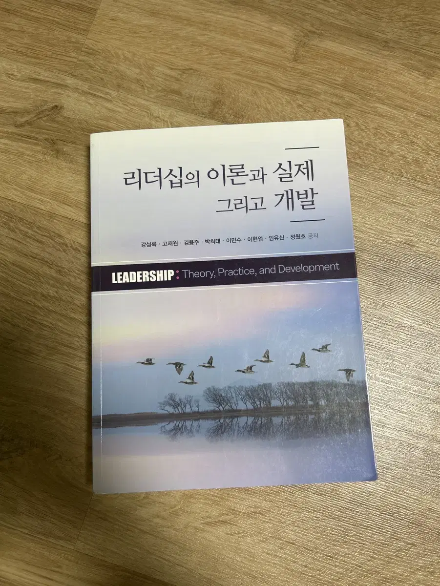 리더십의 이론과 실제 그리고 개발