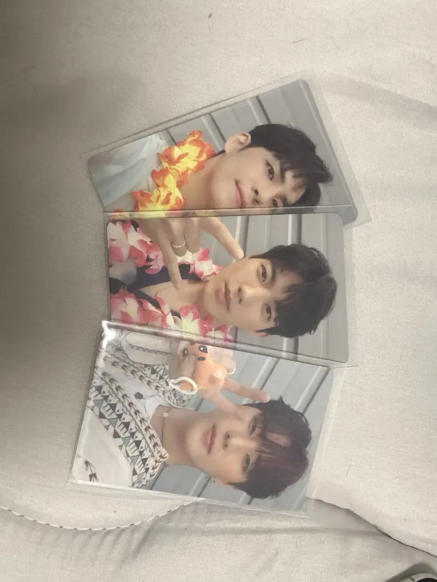 Day 6 evnne Of dey Darling of the Iode Beach photocard bulk Sell