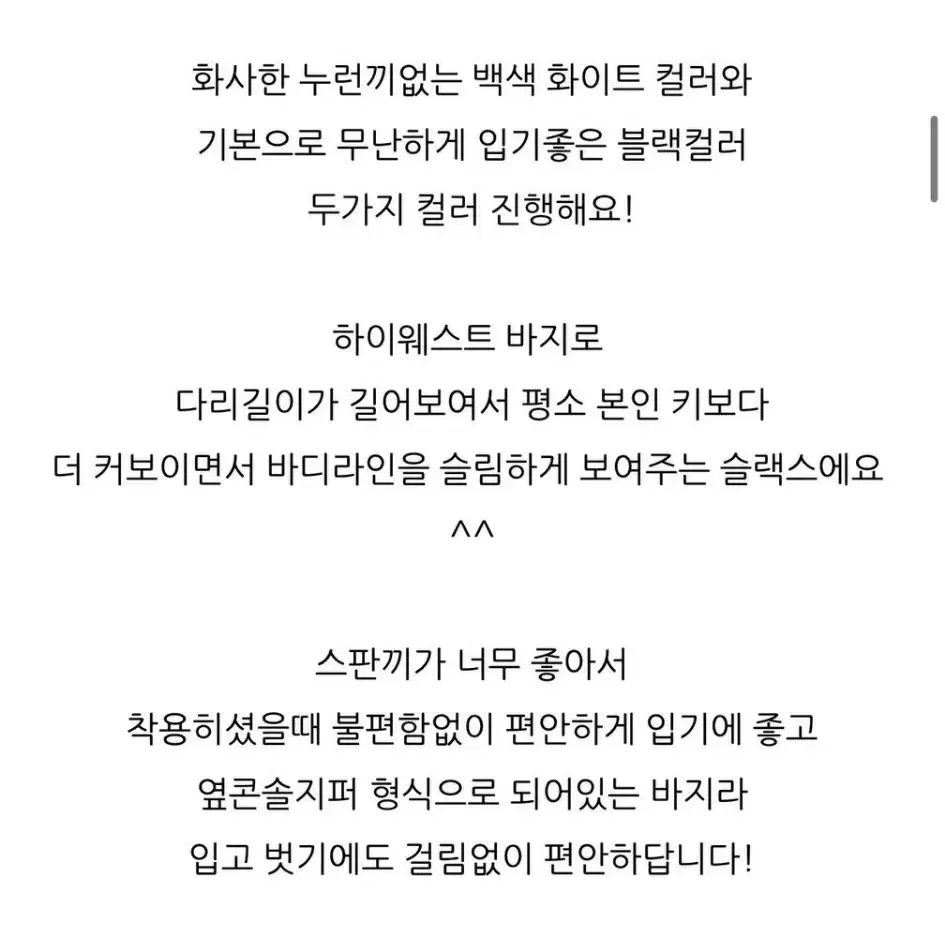 쫀득 스판 슬랙스 수입의류