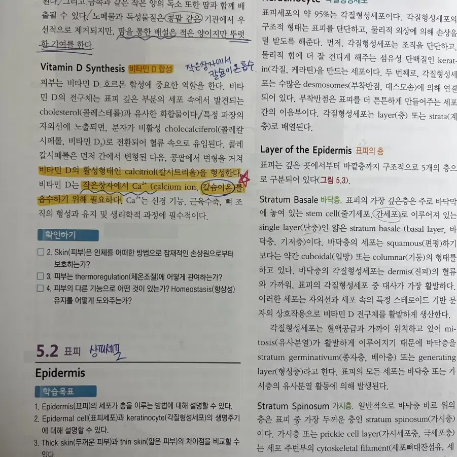 간호학교제 인체구조와 기능