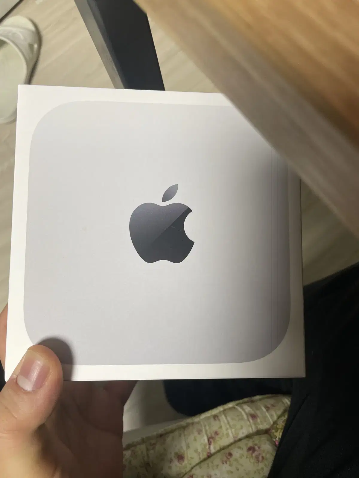 Mac Mini M4 Pro 기본형