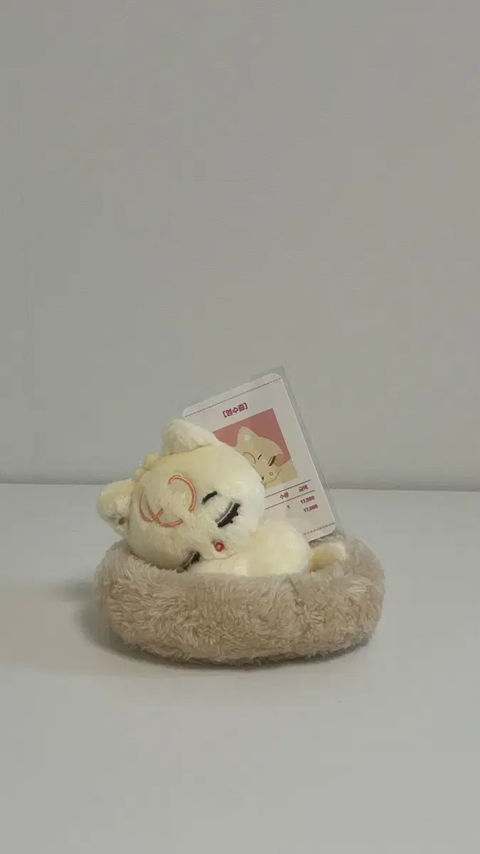 제베원 리키 따끈심 인형