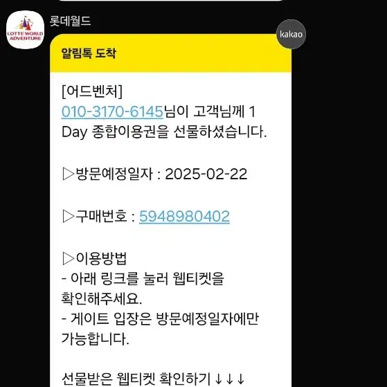 롯데월드 2월22일 토요일 2장팝니다