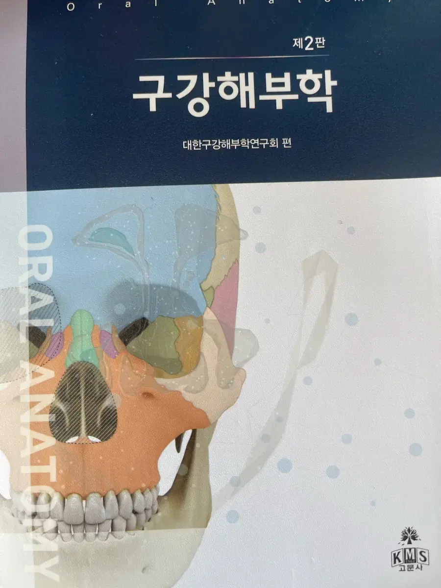 구강해부학