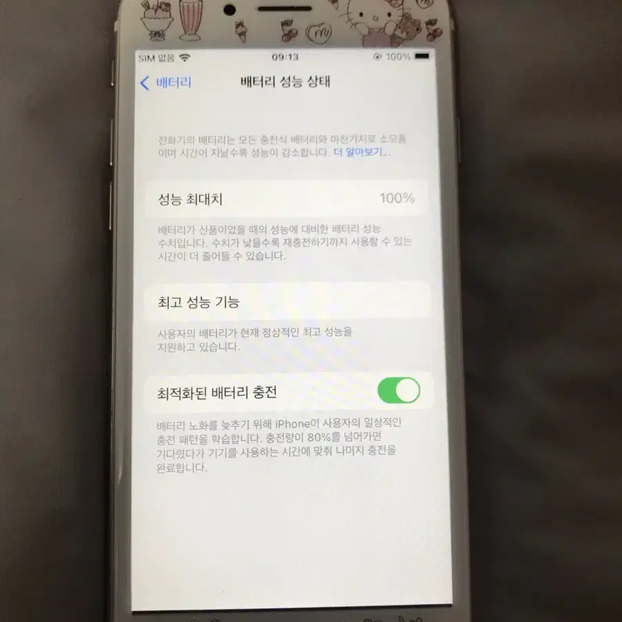 아이폰 6s 배터리성능100