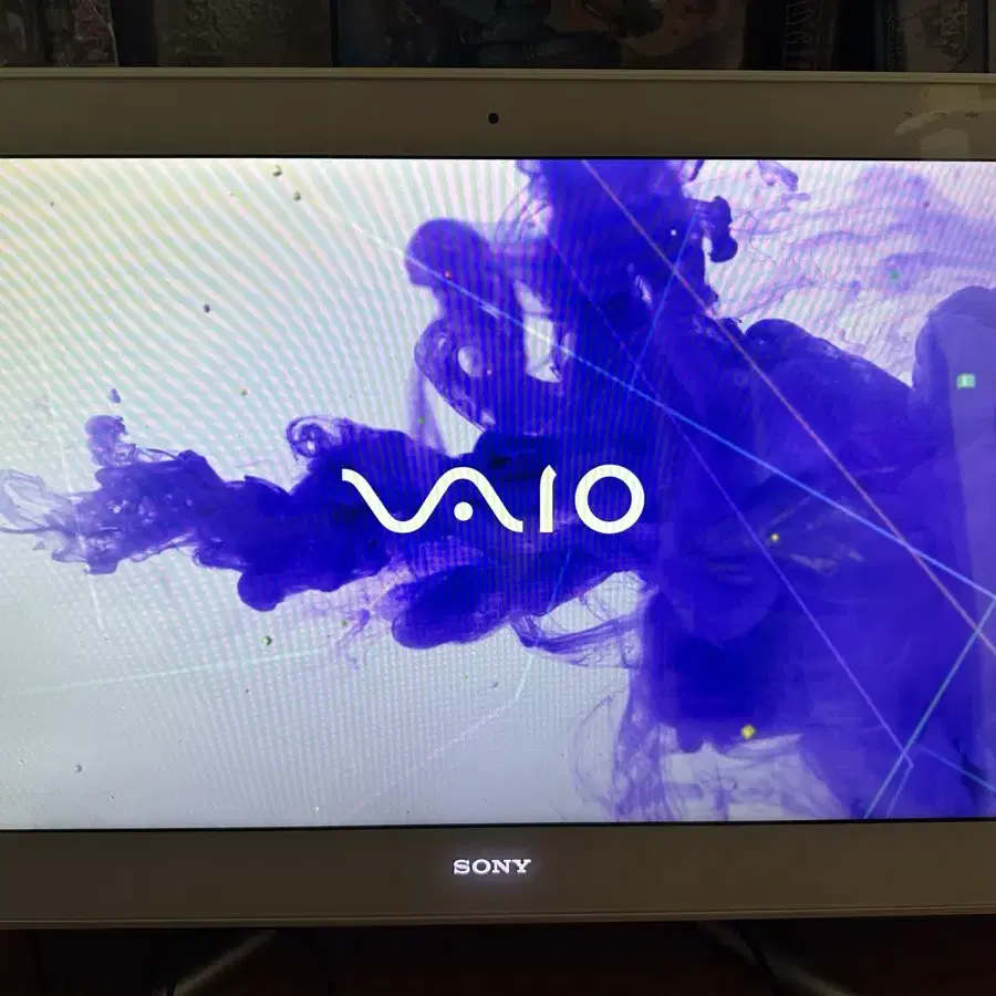 SONY VAIO 올인원PC VPCL248FJ