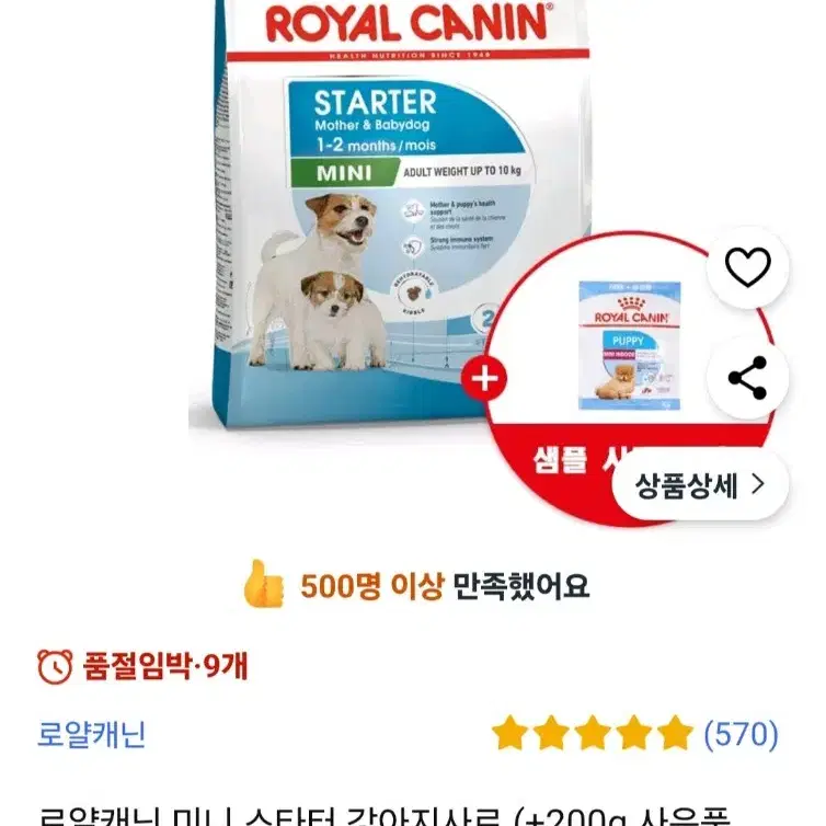 로얄캐닌 미니스타더 마더앤 1kg