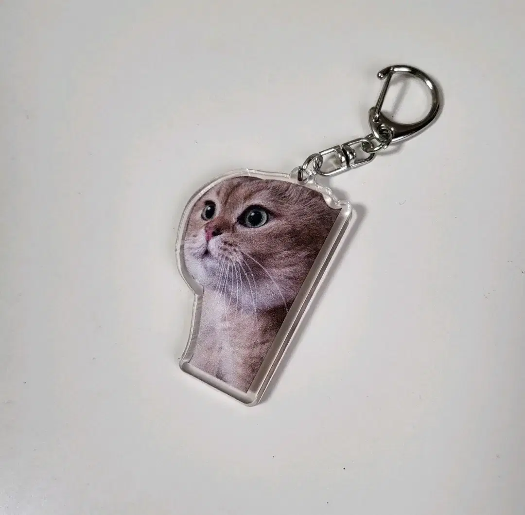 keyring, a cute cat New Products