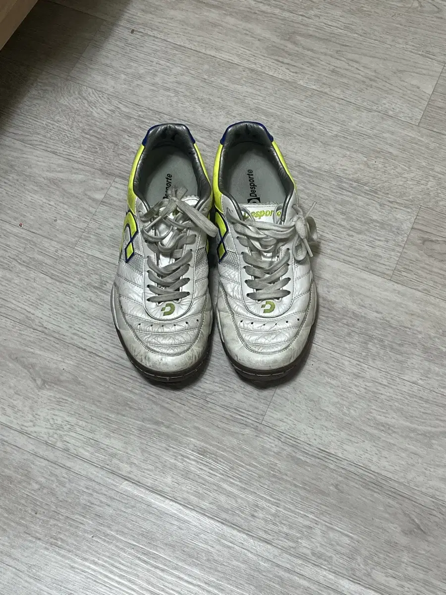 Desporti Futsal Shoes 265