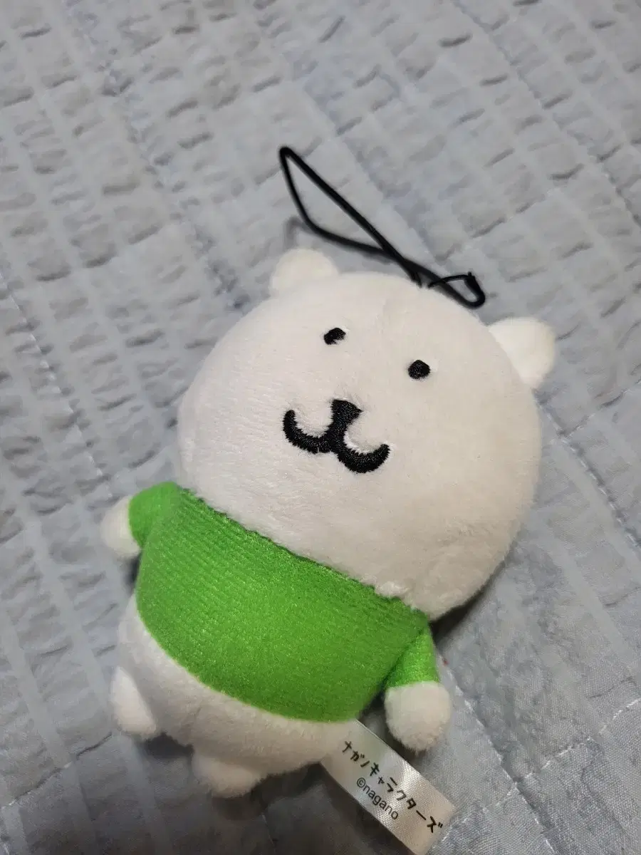 (반택포) 후류 농담곰