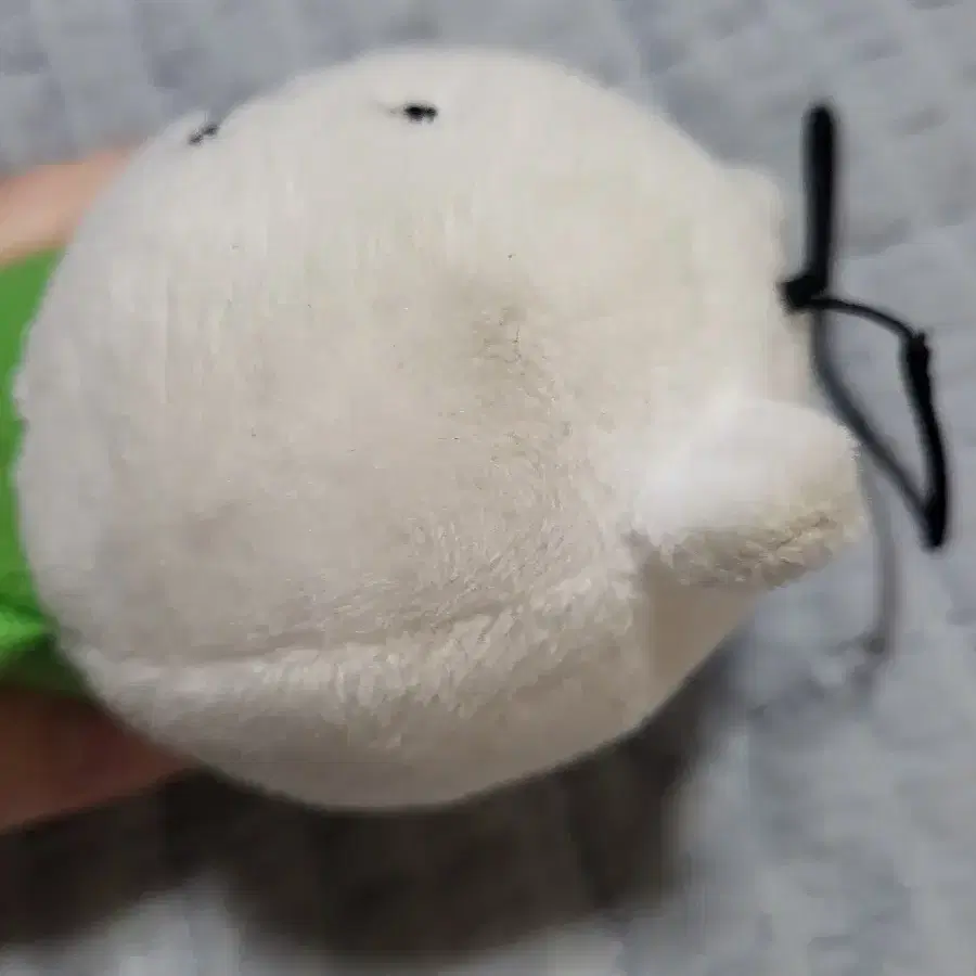 (반택포) 후류 농담곰