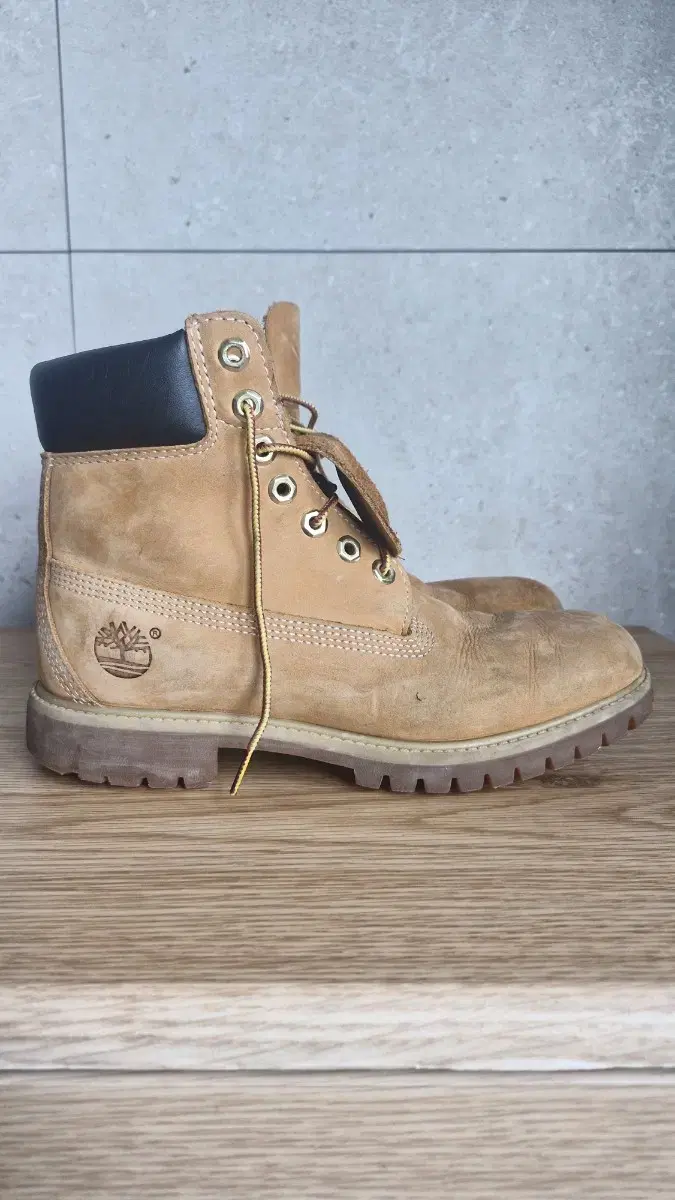 Timberland Nubuck 6-Inch Walker 7.5W