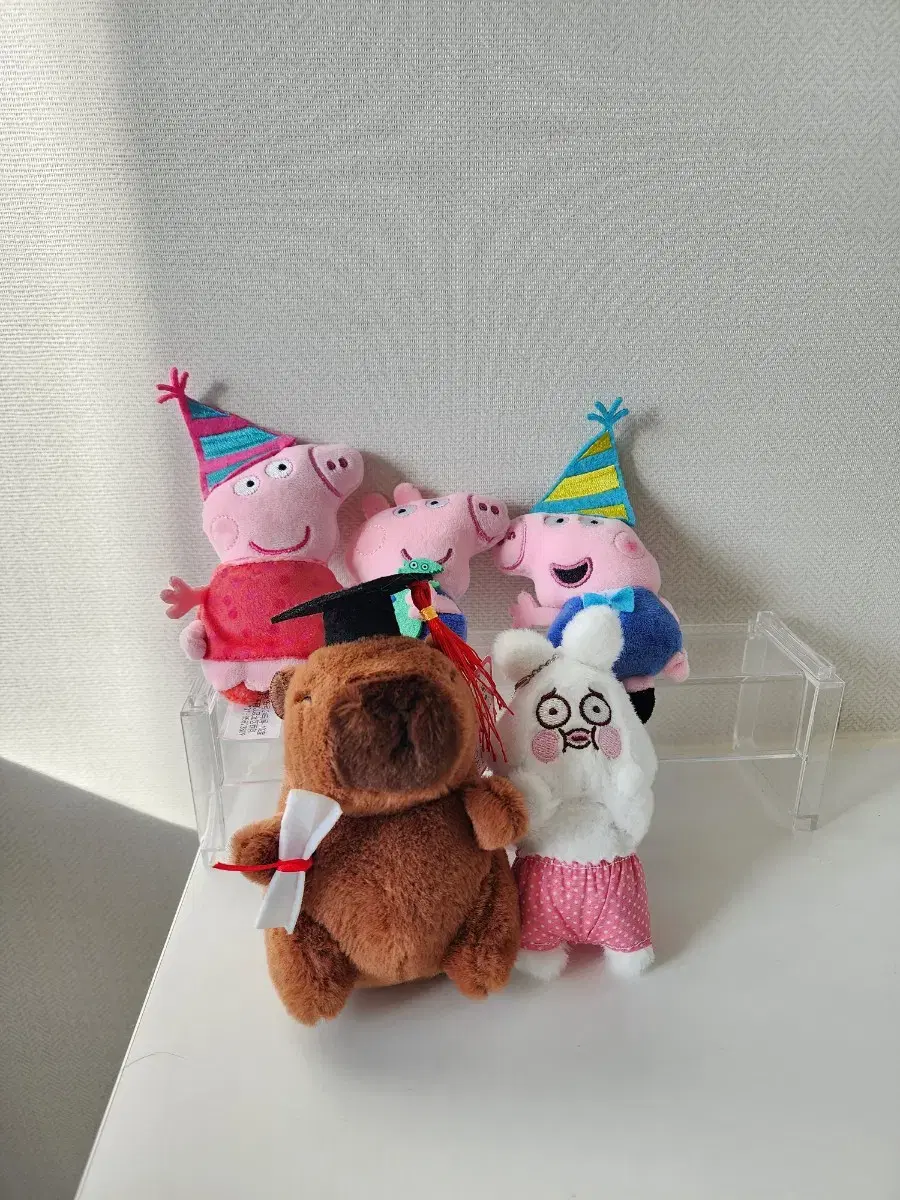 페파 피크 Peppapig 쿼카 학사모 빤쮸 토끼 인형 키링