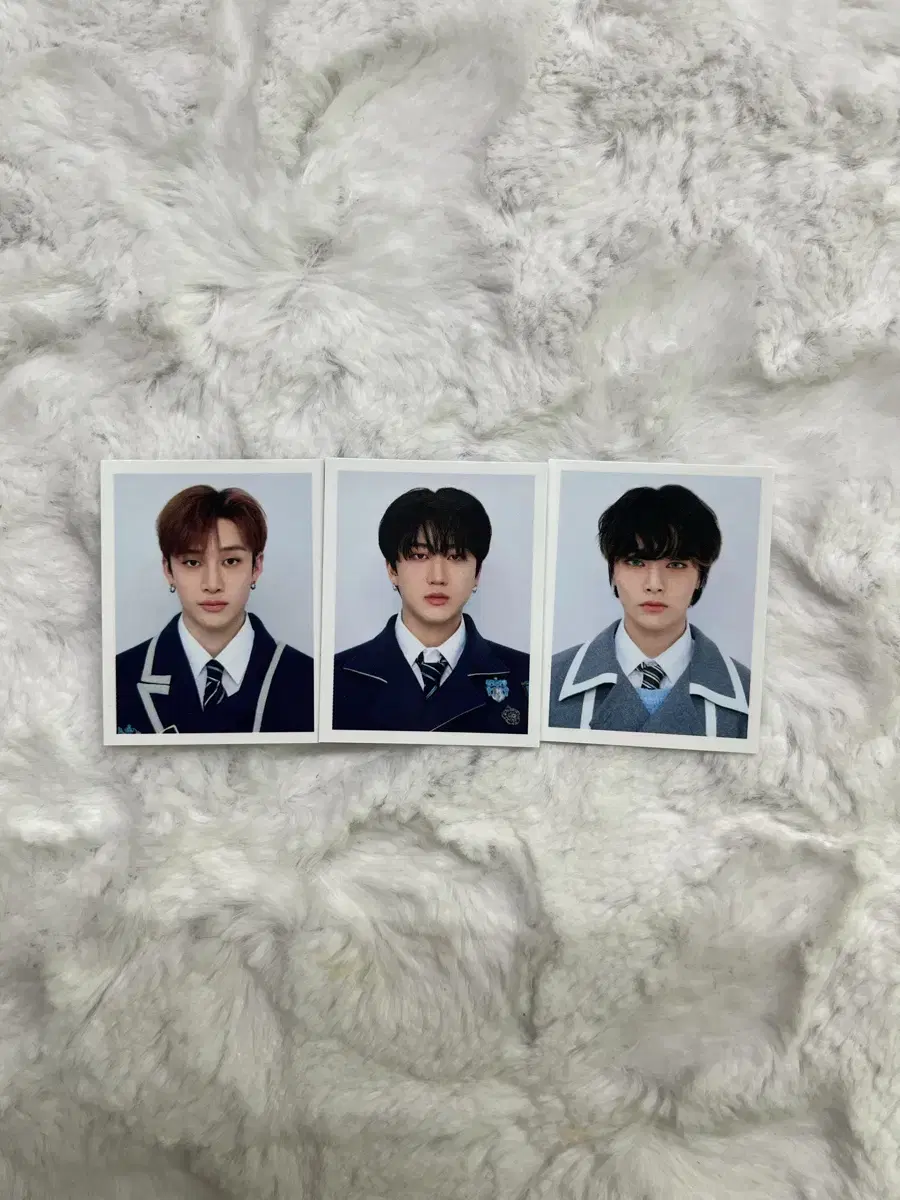 Today only) skz Magic School bang chan changbin i.n WTS bulk WTS