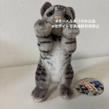 타치이 zoo3 냥코 미니 한정품