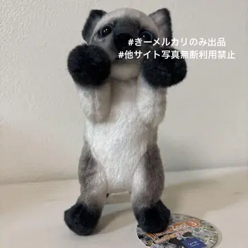 타치이 zoo3 냥코 미니 한정판 봉제 인형