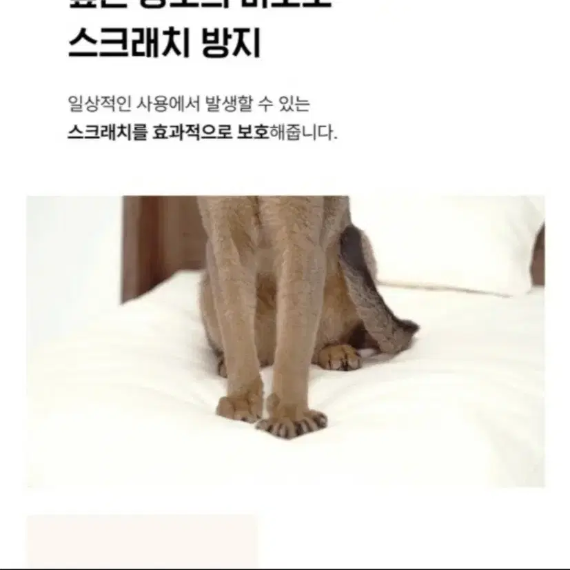 강아지쇼파