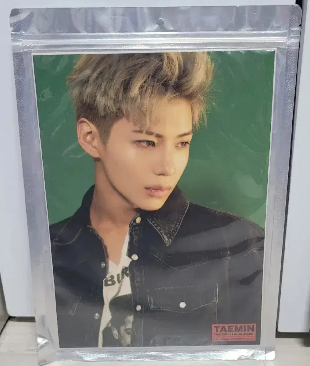 샤이니 태민 아티움 굿즈, want A4 사이즈 포토