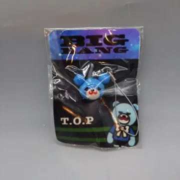 빅뱅 탑 스트랩