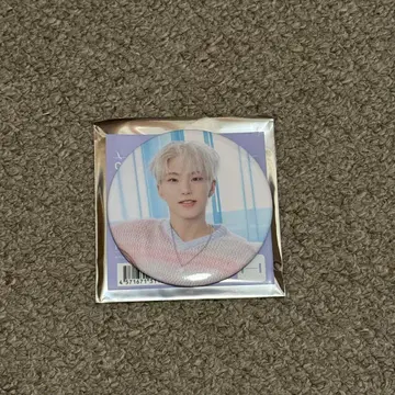 세븐틴 세부치 2024 홈 캔뱃지 호시