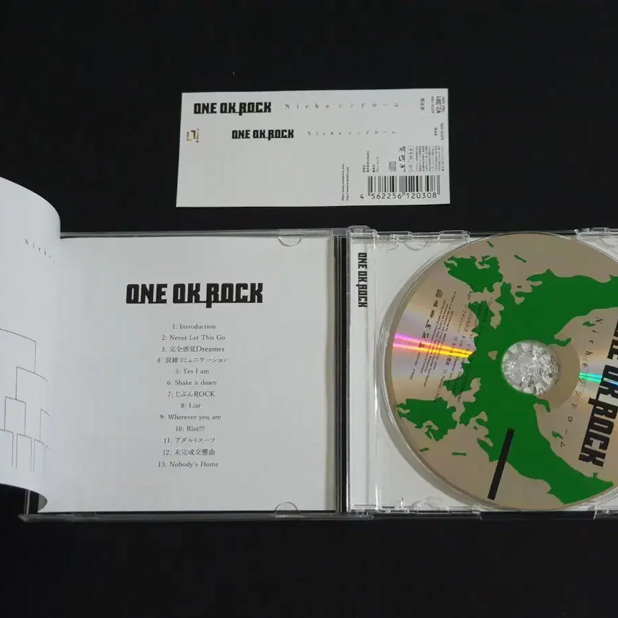 ONE OK ROCK 원오크락 4집 앨범 니치 신드롬 원오크록 음반