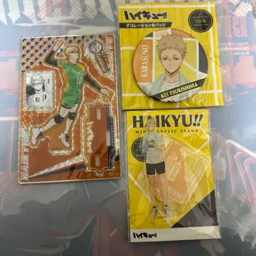 하이큐 월섬 세트