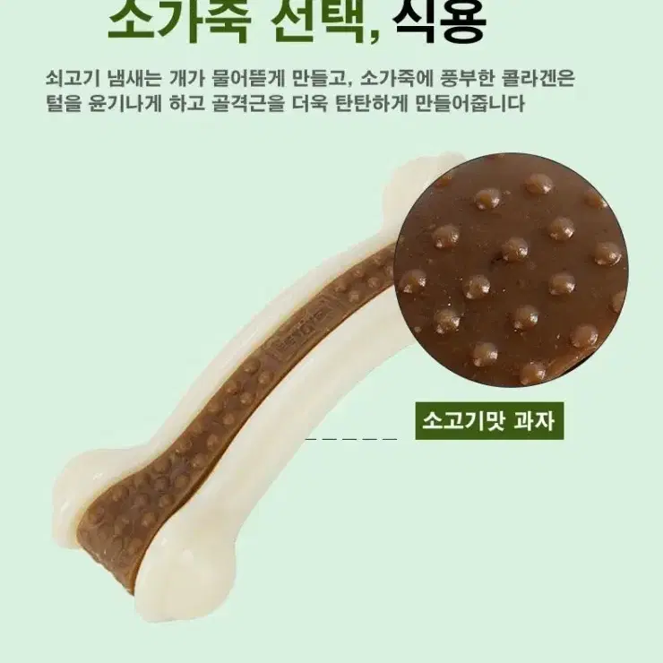 애완동물 이갈이 씹는 뼈 장난감