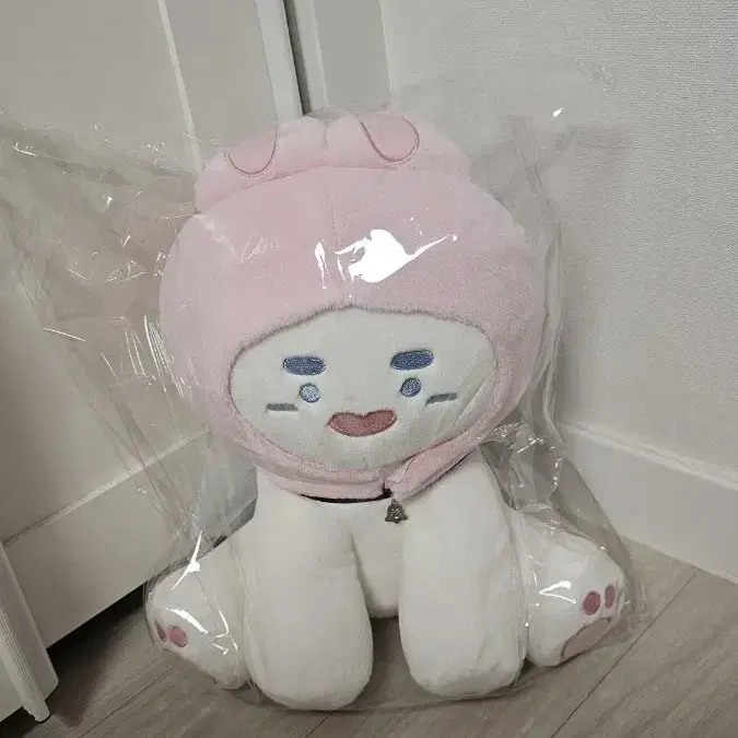 샤이니 온유 찡냥이 30cm 반택무료