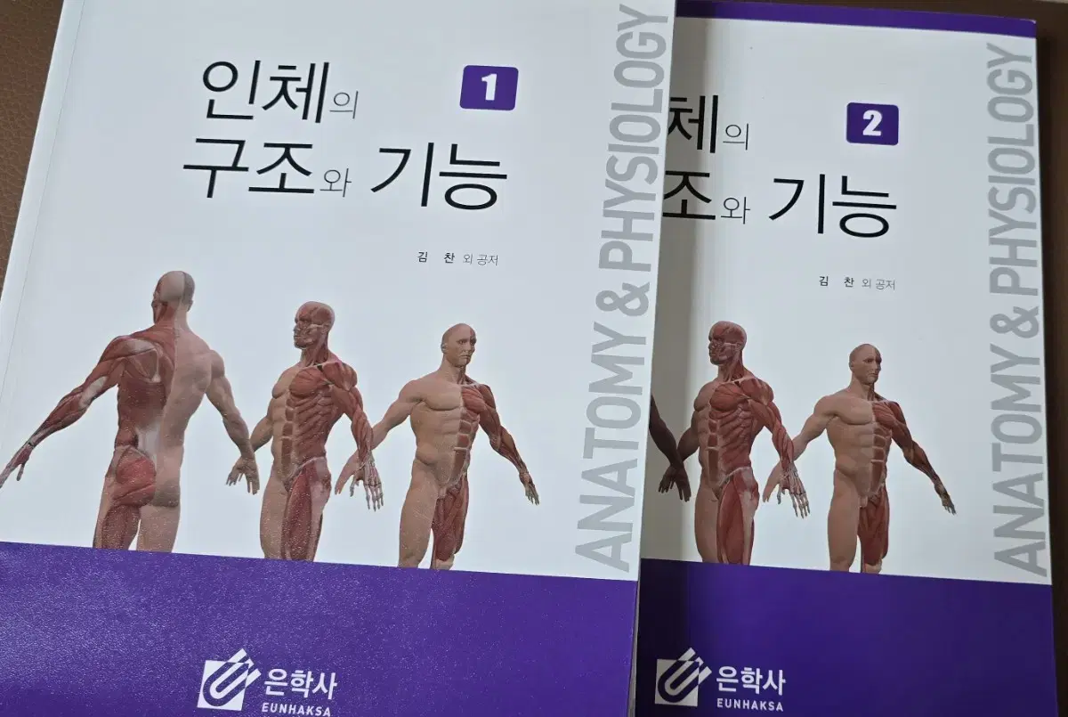 인체의 구조와 기능