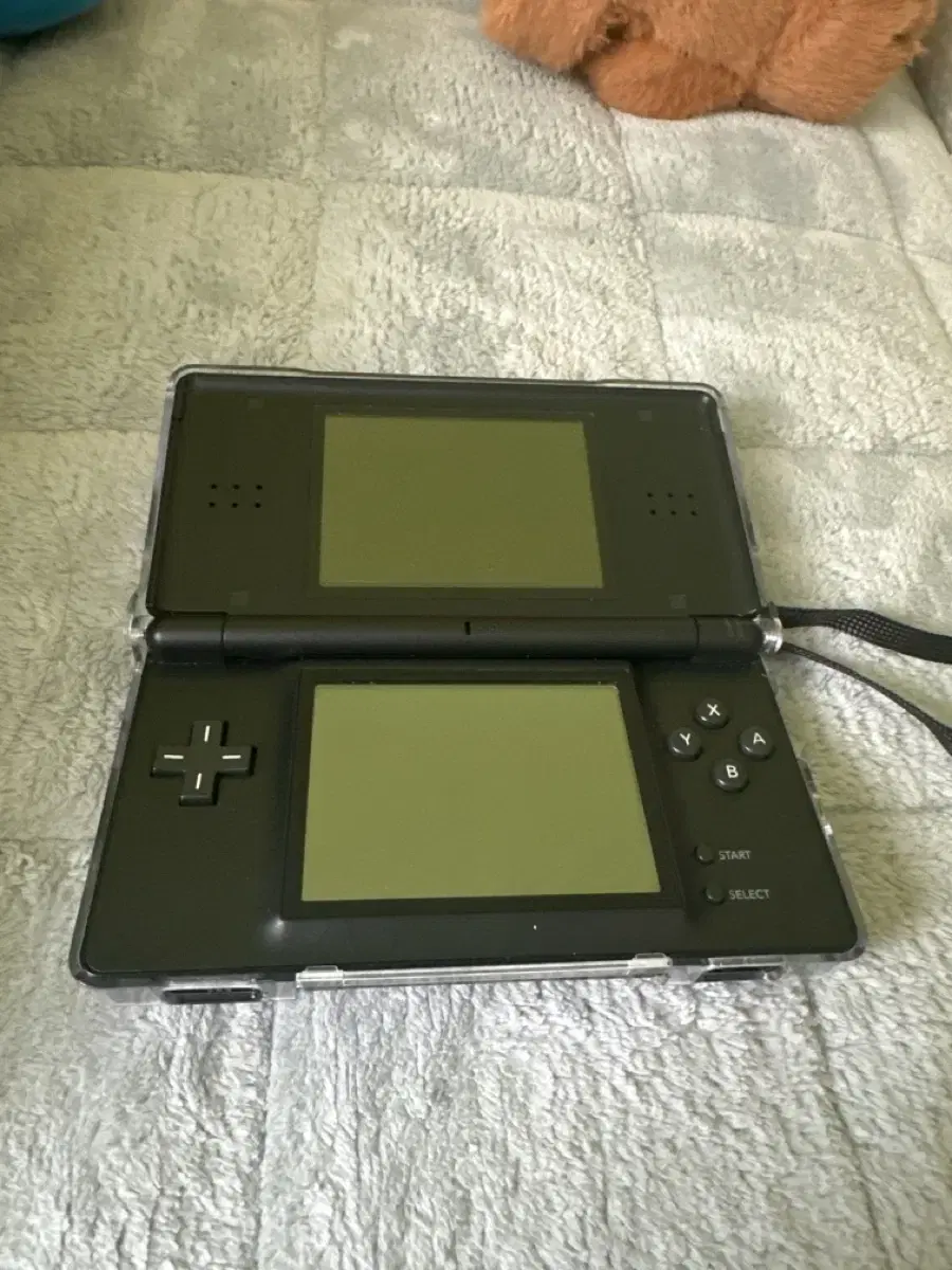 Nintendo DS Lite (including film, case, and charger) 6 chips (Zelda, Pokemon, etc.)