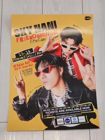 SKYNANI FRIENOMENON FANCON 포스터