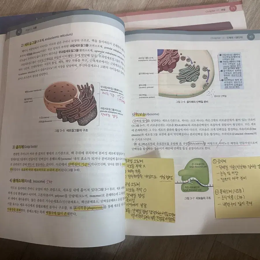 인체구조와기능 의학교육