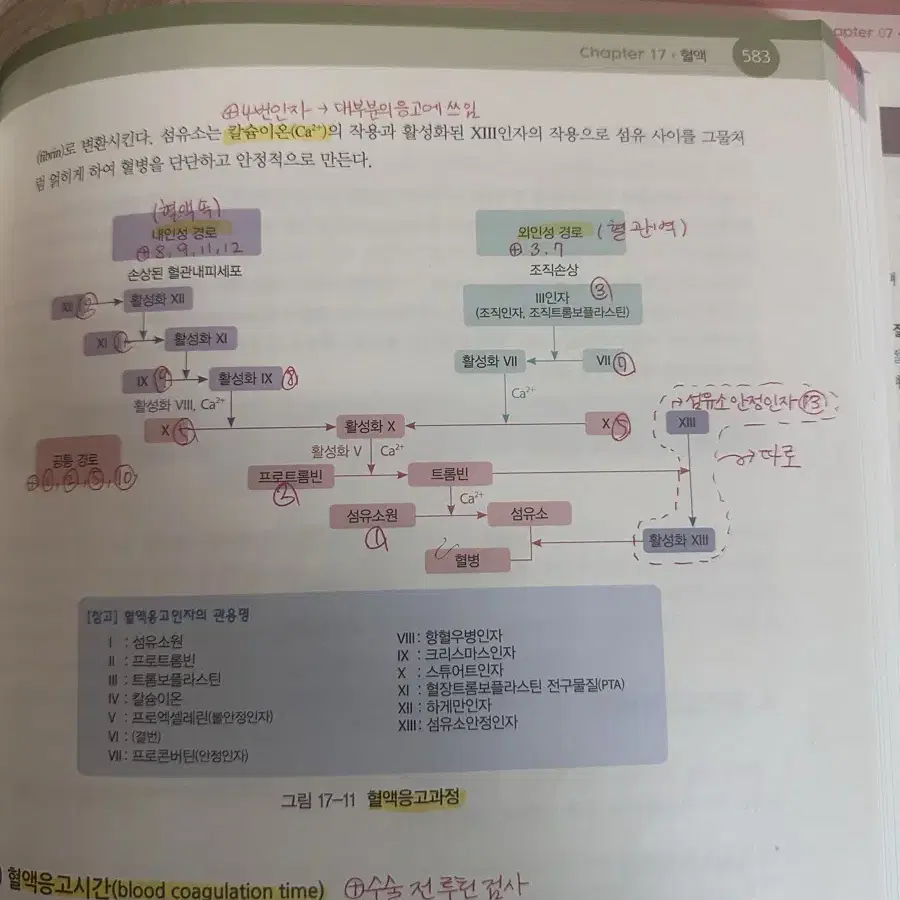 인체구조와기능 의학교육