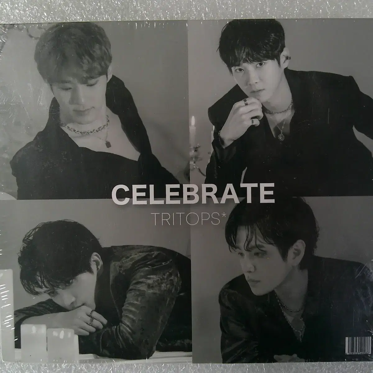 CELEBRATE TRITOPS CD팝니다.