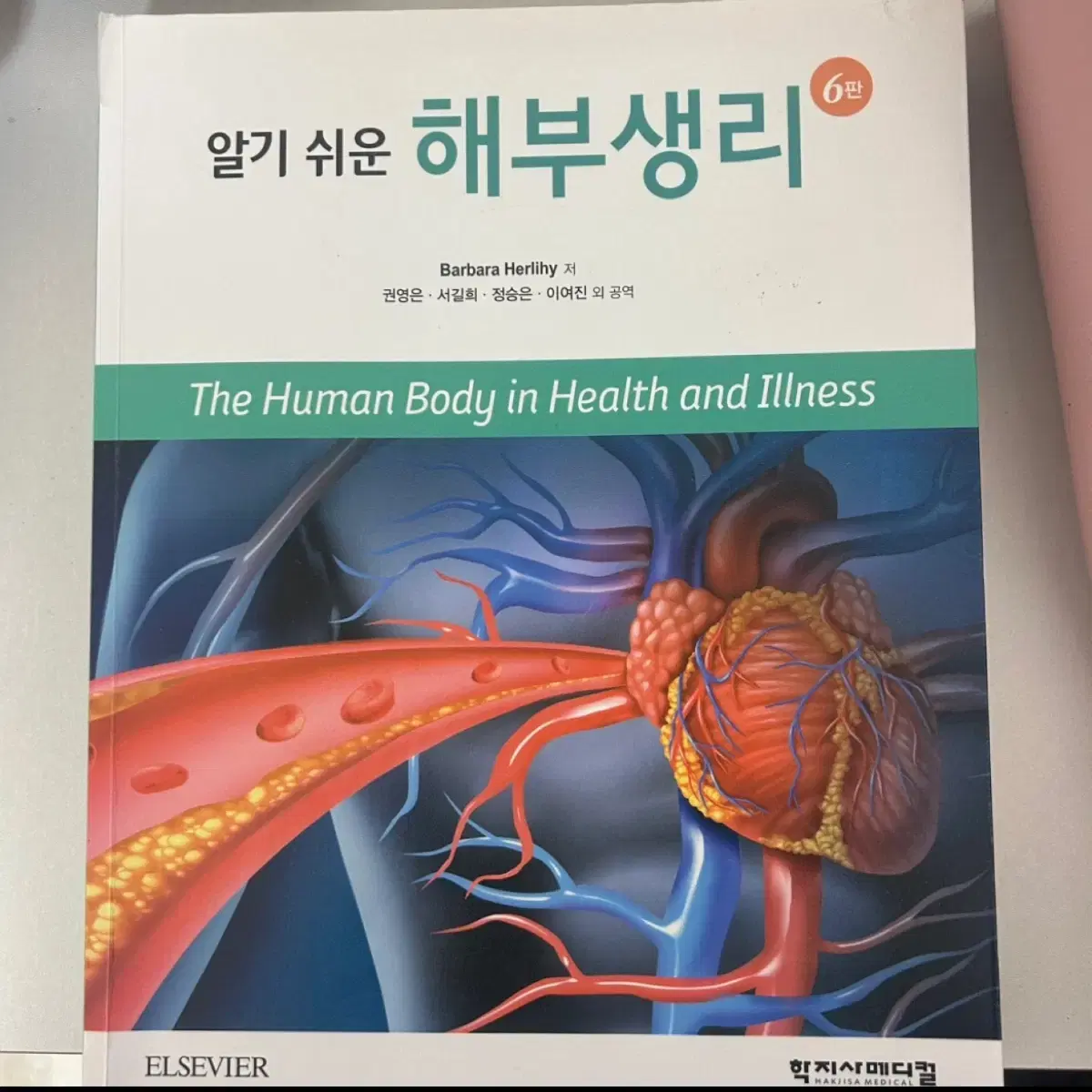 해부생리책 저렴하게 팝니다