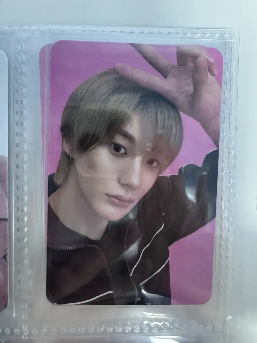 Smtown 앤톤 포카