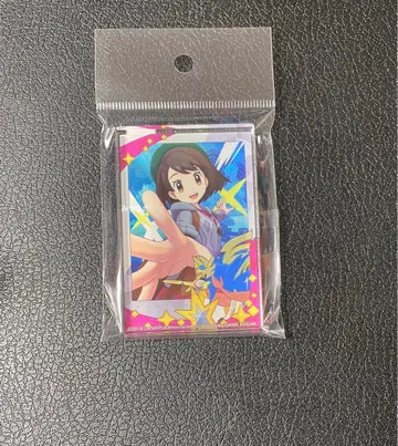 포켓몬스터 EX 애니메이트 메모리얼 사진 미니 아크릴 블록 유리