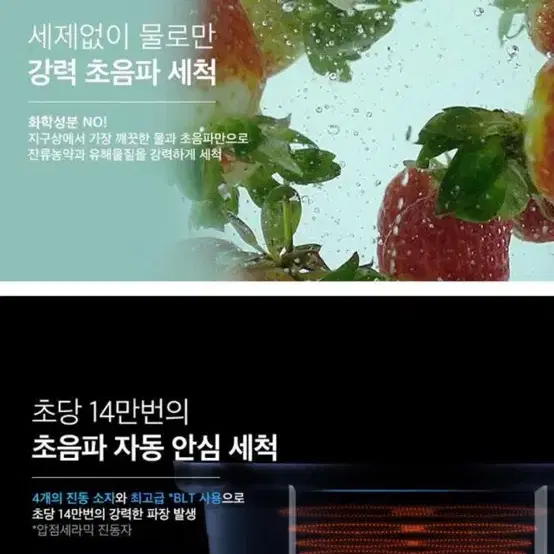 패스브르크 초음파 세척기 (채소,과일,고기,어패류등)