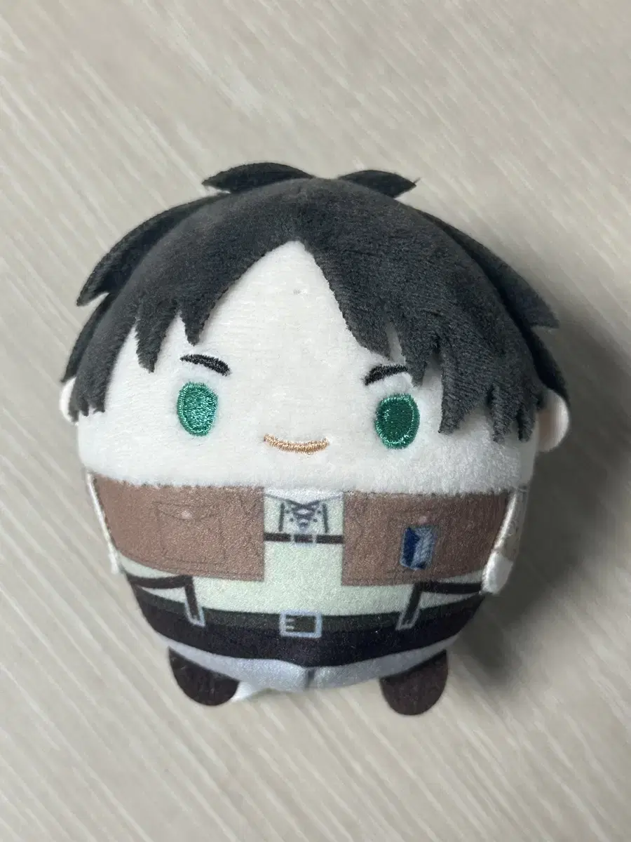 [Check for defects!!] Jinseongyeo 15 Eren Fuwa Korin Sister doll Jinseongyeo