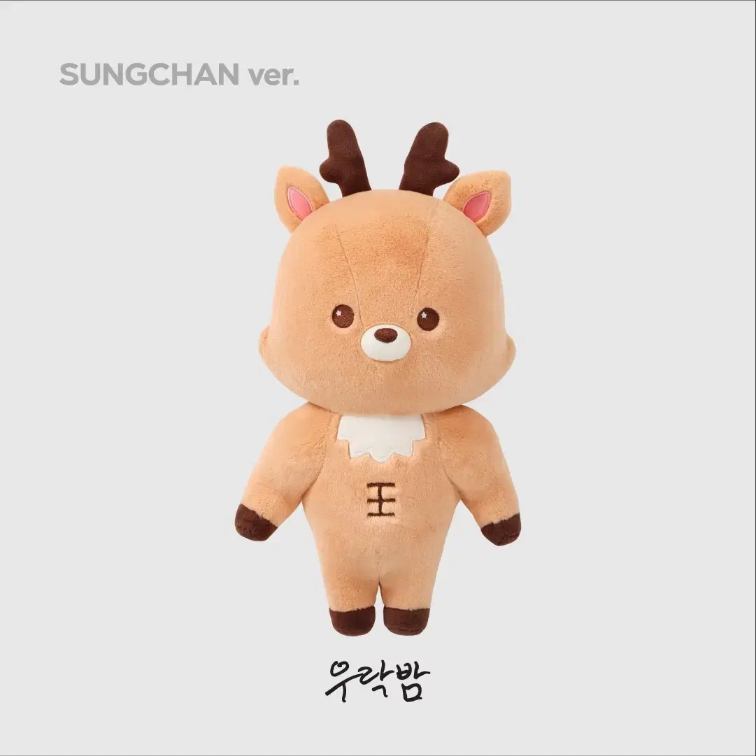 라이즈 40cm 인형 양도