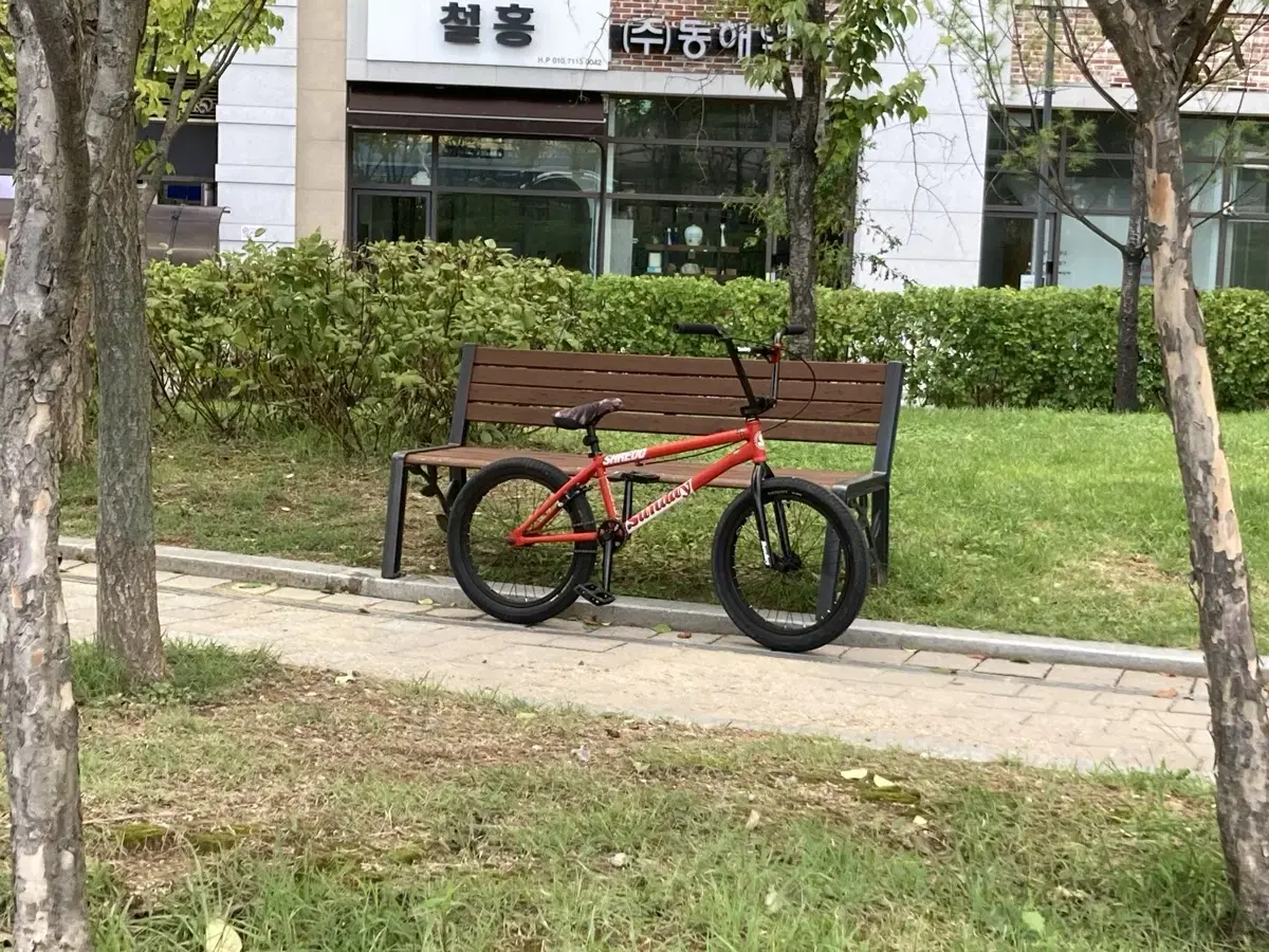 선데이 bmx 판매