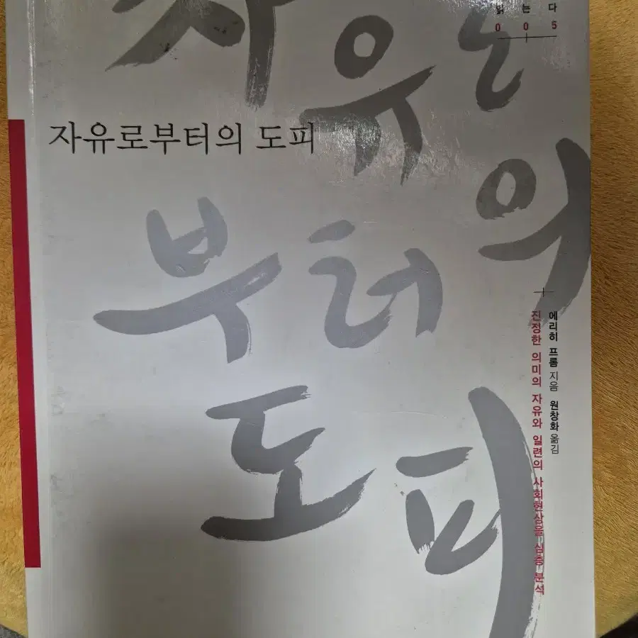 도서  자유로부터의 도피