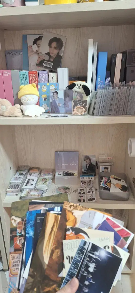급처)세븐틴 !!일괄!! 탈덕처분