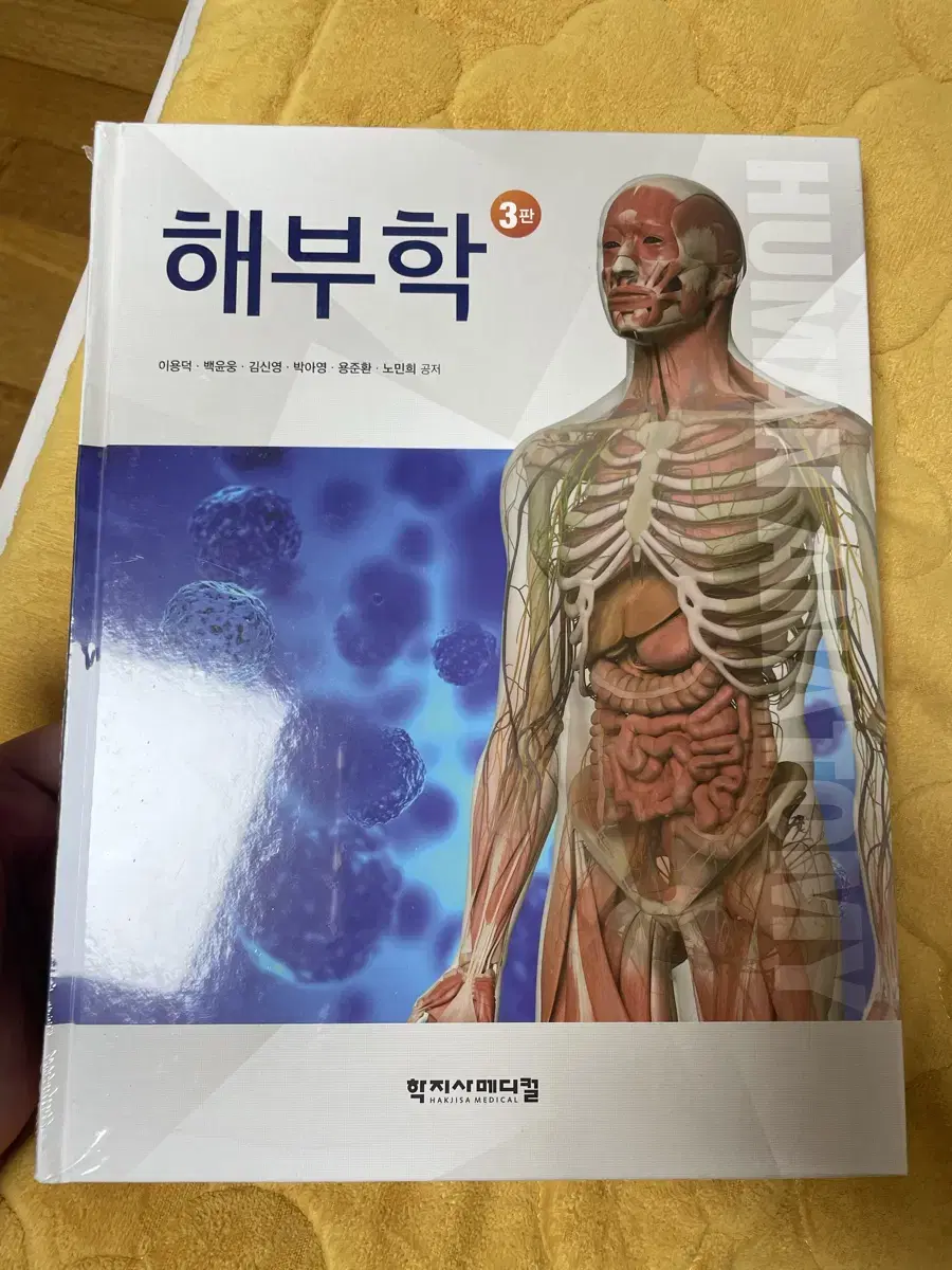 학지사메디컬 해부학