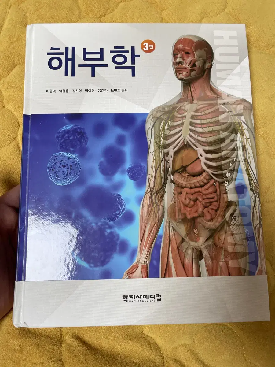 학지사메디컬 해부학 3판