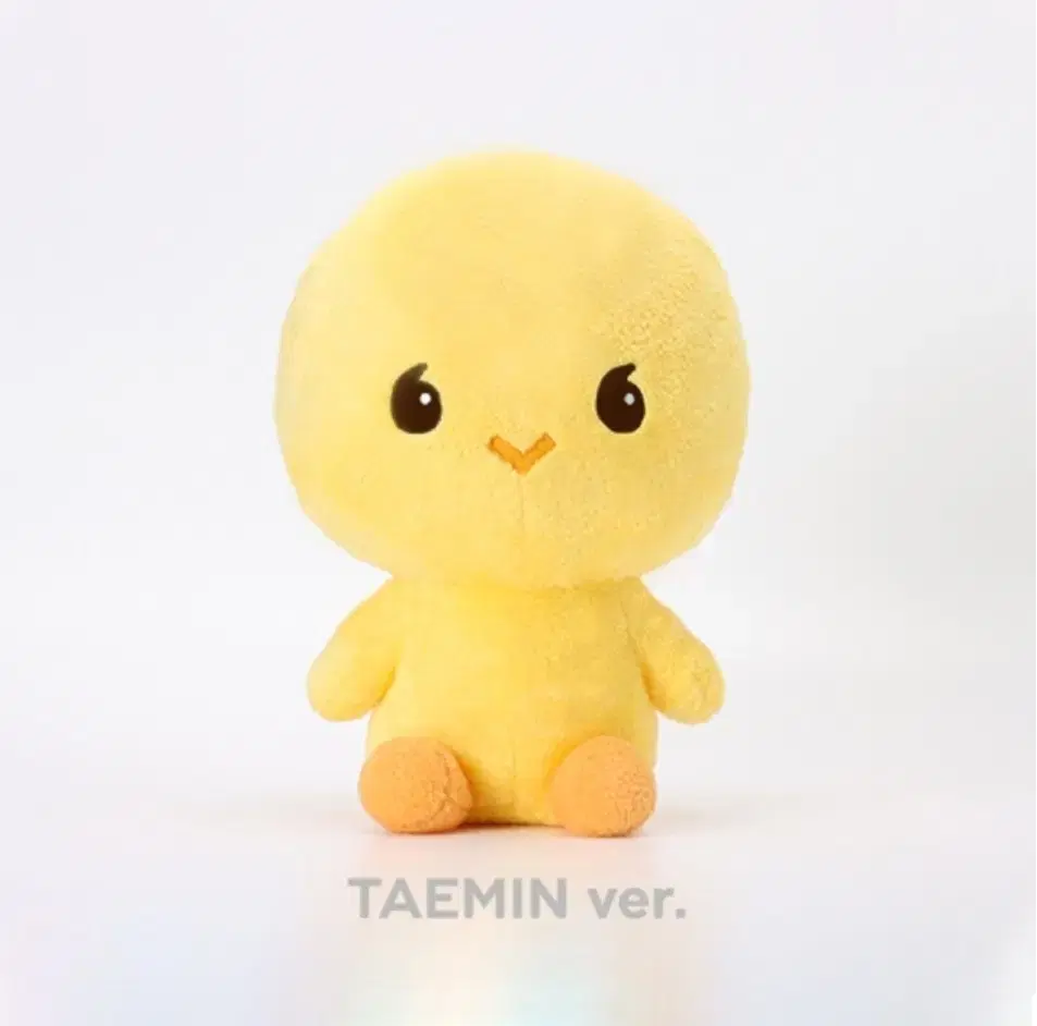 태민 탬아리 40cm 인형