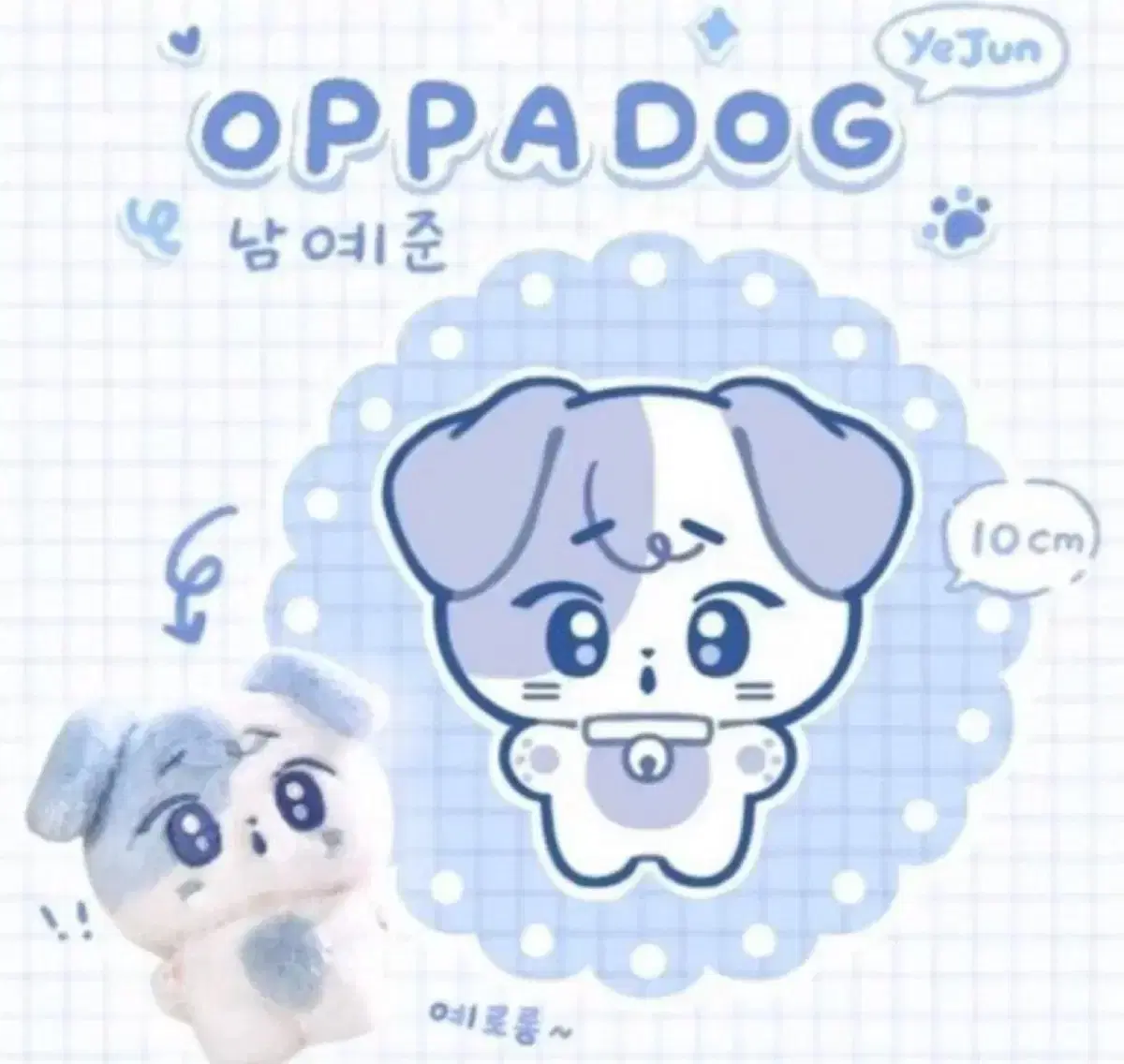 플레이브 예준 솜인형 오빠독 oppadog 판매 양도합니다